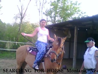 SEARCHING FOR HORSE Montana, Near Flint, MI, 48506